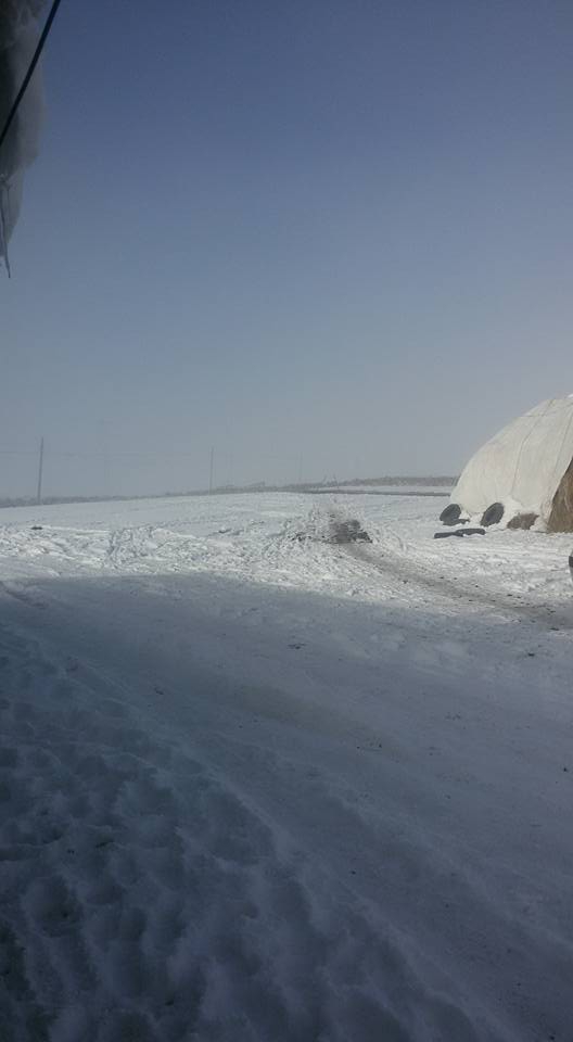 Ardahan Büyüksütlüce Köyü Resimleri 4