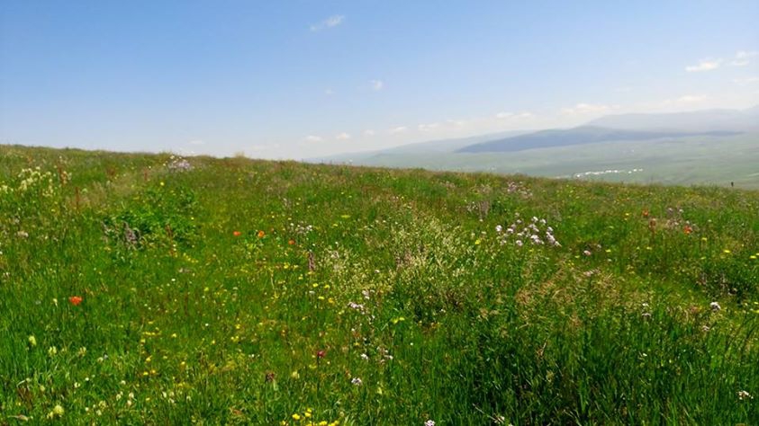 Ardahan Büyüksütlüce Köyü Resimleri 7