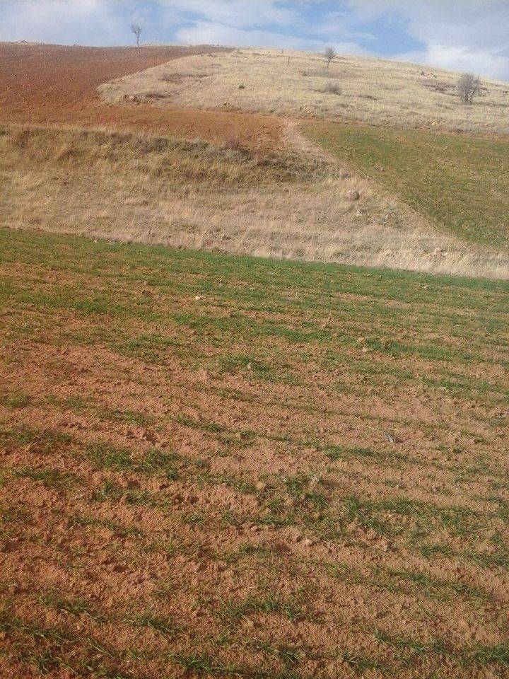 Sorgun Gözbaba Köyü Resimleri 2