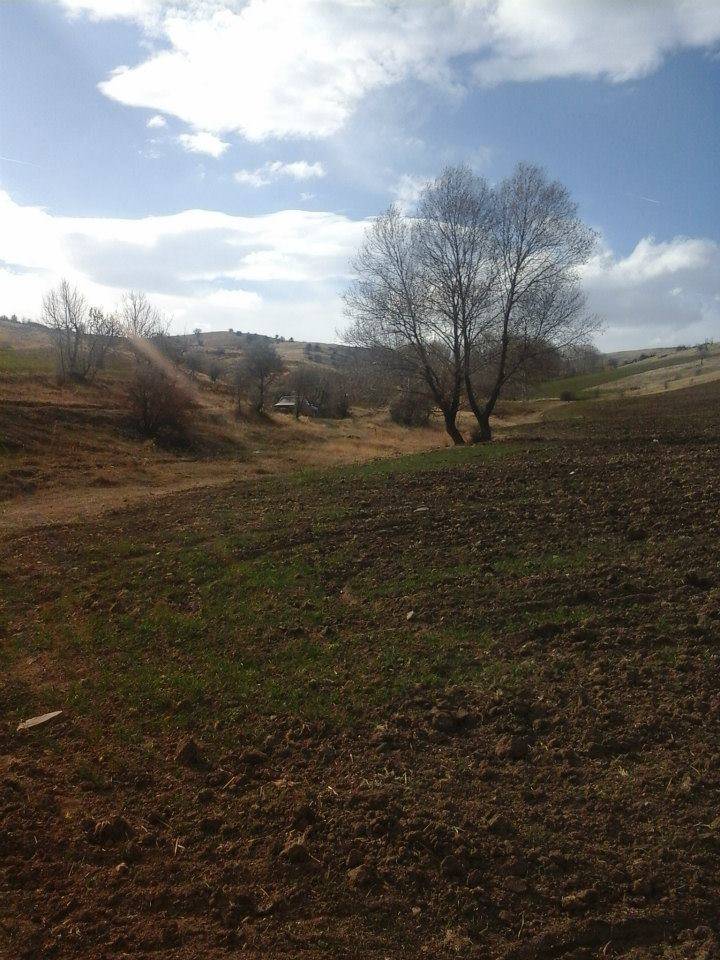 Sorgun Gözbaba Köyü Resimleri 3