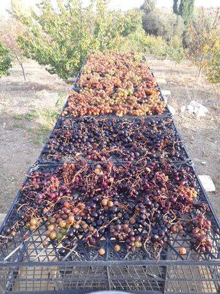 Sorgun Gümüşkavak Köyü Resimleri 10