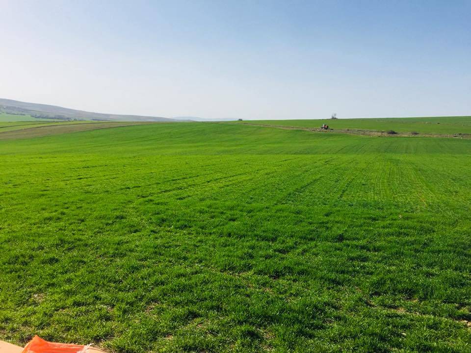 Sorgun Gümüşkavak Köyü Resimleri 5