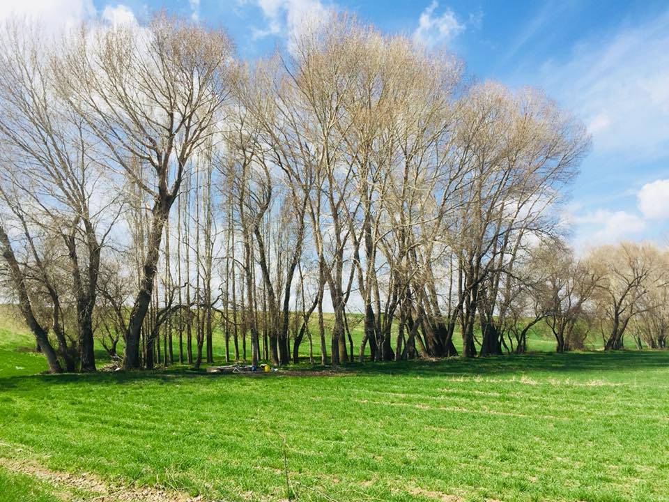 Sorgun Gümüşkavak Köyü Resimleri 6