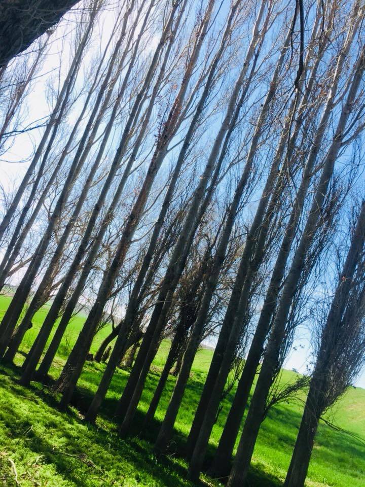 Sorgun Gümüşkavak Köyü Resimleri 7