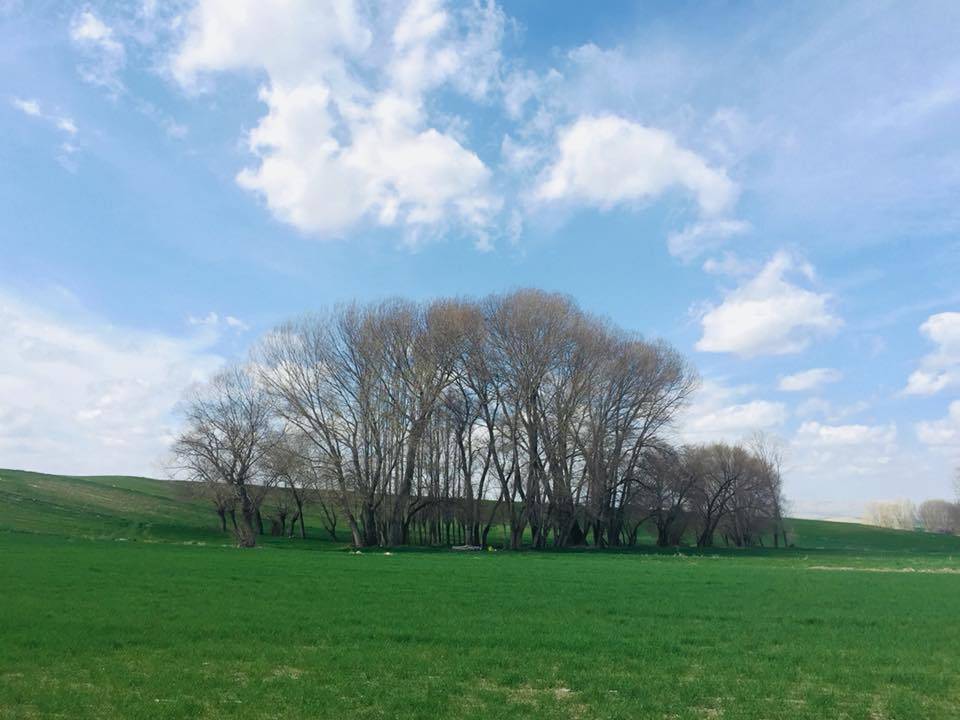 Sorgun Gümüşkavak Köyü Resimleri 9