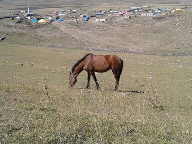 Ardahan Çağlayık Köyü Resimleri 3