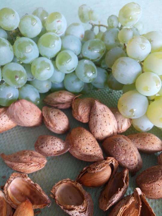 Gülnar İshaklar Köyü Resimleri 7