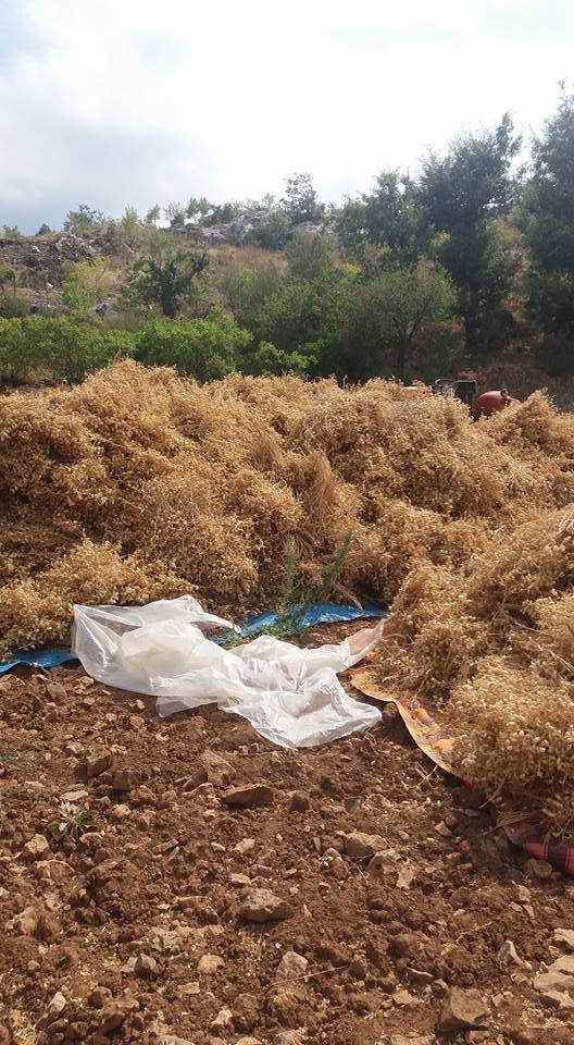 Gülnar Kayrak Köyü Resimleri 1