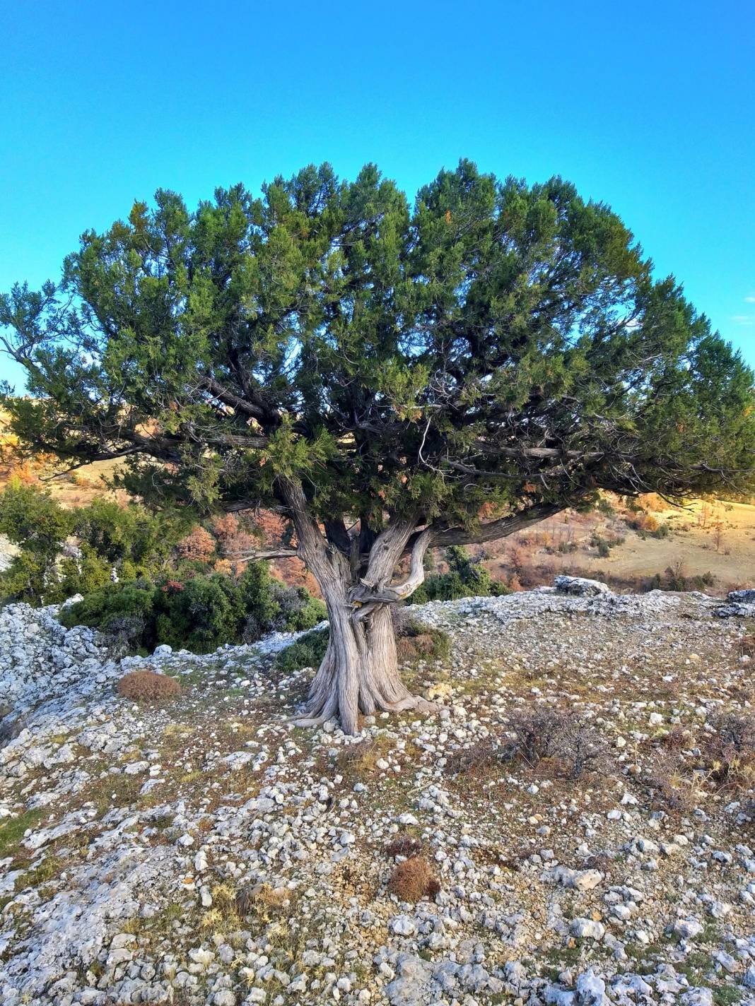 Gülnar Kayrak Köyü Resimleri 8
