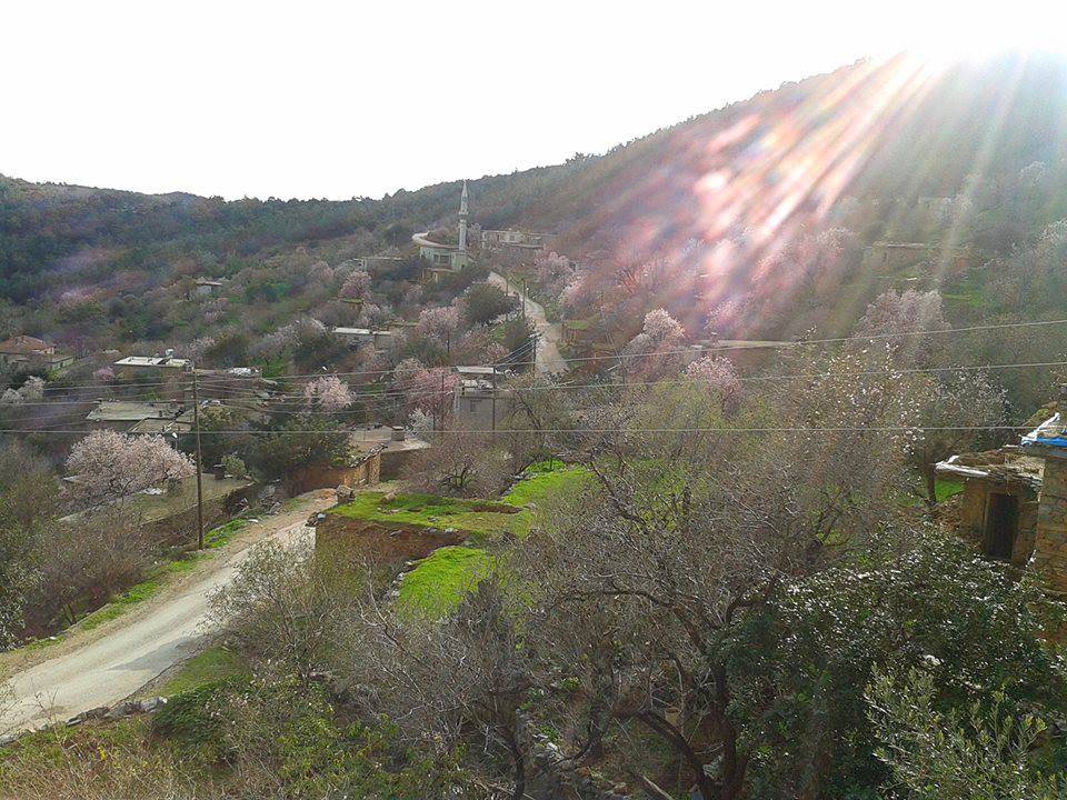 Gülnar Mollaömerli Köyü Resimleri 4