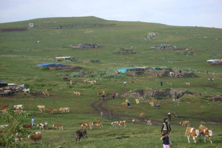 Ardahan Çamlıçatak Köyü Resimleri 5