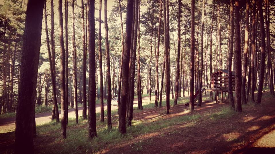 Ardahan Çamlıçatak Köyü Resimleri 8