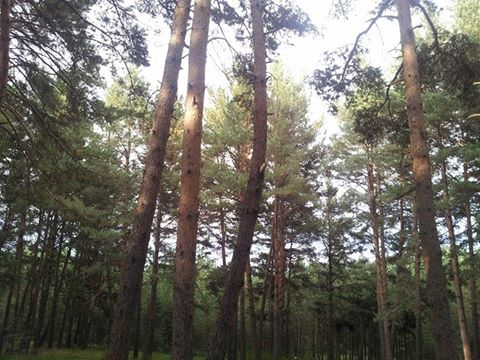 Ardahan Çamlıçatak Köyü Resimleri 9