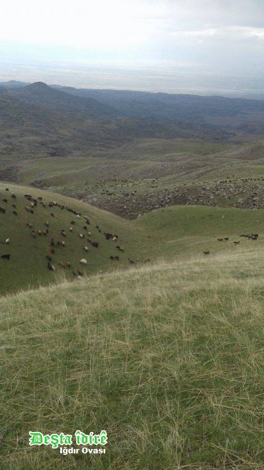 Aralık Kırçiçeği Köyü Resimleri 4