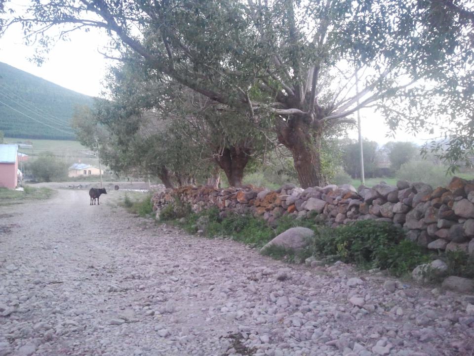 Ardahan Çataldere Köyü Resimleri 1