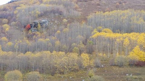 Ardahan Çataldere Köyü Resimleri 6