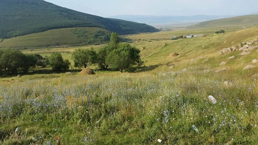Ardahan Çataldere Köyü Resimleri 8
