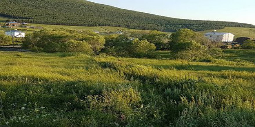 Ardahan Çataldere Köyü Resimleri