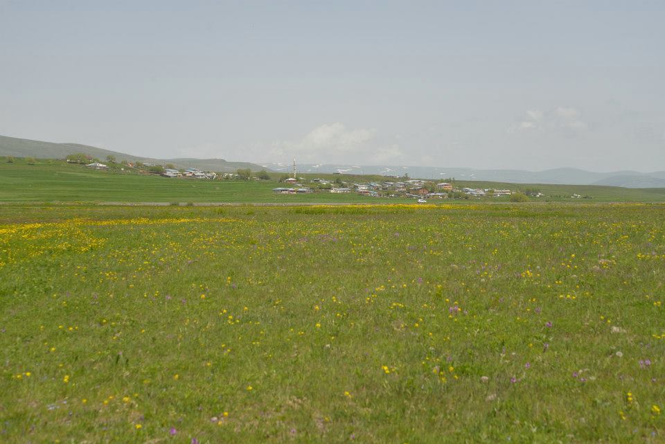Ardahan Çatalköprü Köyü Resimleri 12