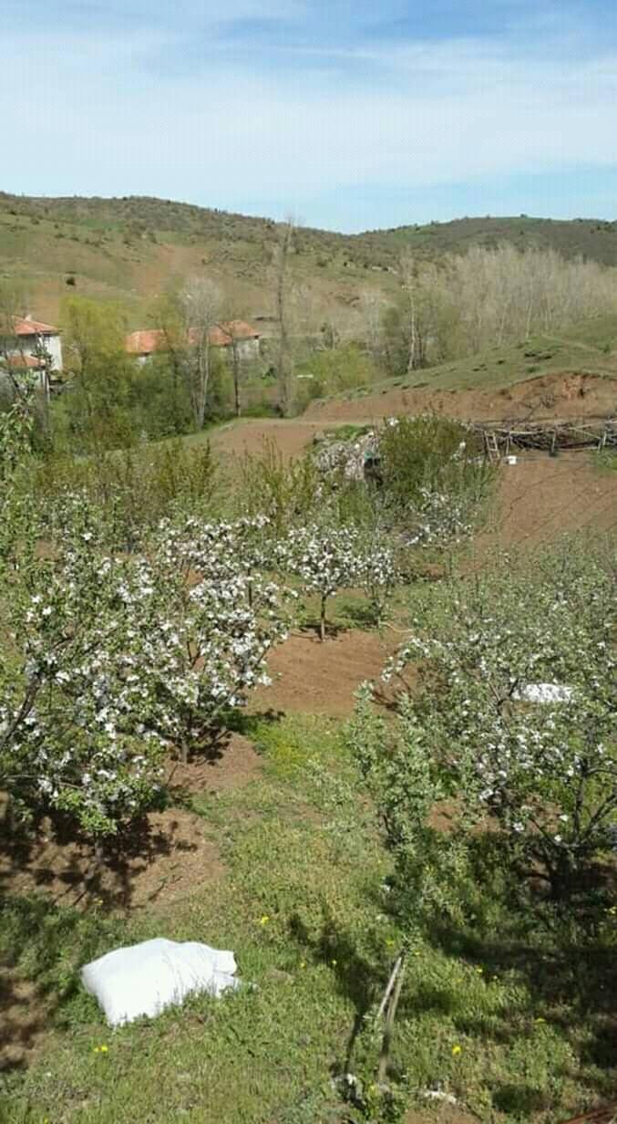Sorgun Karalık Köyü Resimleri 5