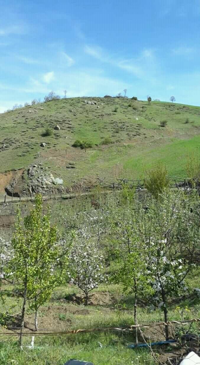 Sorgun Karalık Köyü Resimleri 7