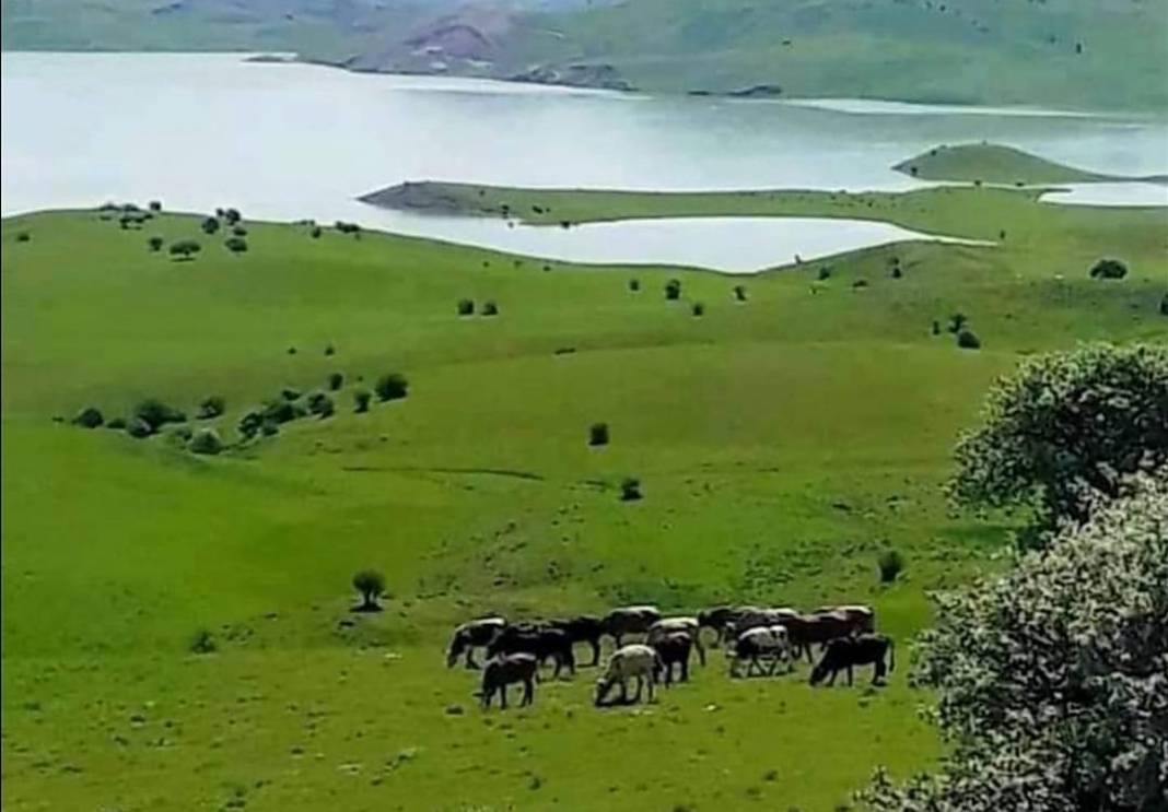 Tuzluca Abbasgöl Köyü Resimleri 11