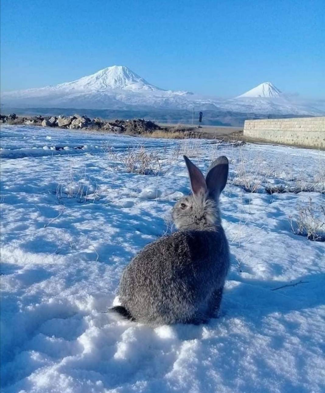 Tuzluca Abbasgöl Köyü Resimleri 13