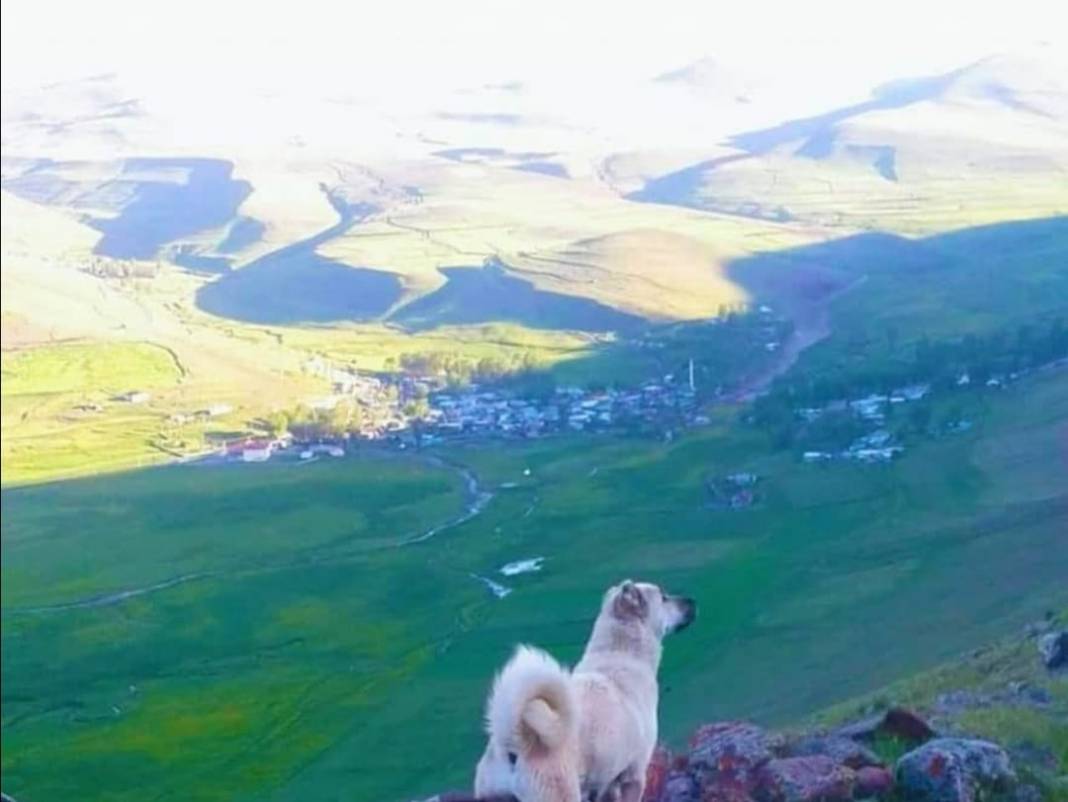 Tuzluca Abbasgöl Köyü Resimleri 3