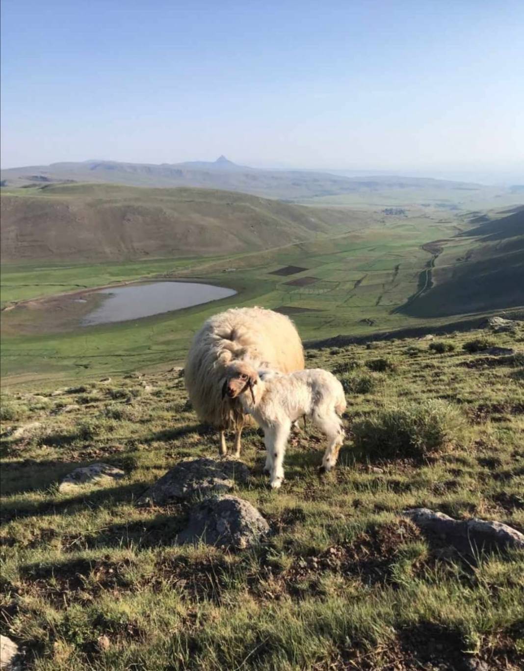 Tuzluca Abbasgöl Köyü Resimleri 8