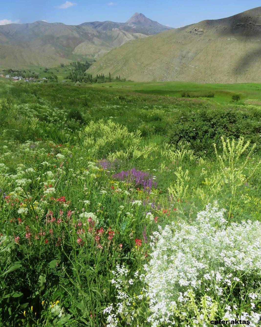 Tuzluca Akdeğirmen Köyü Resimleri 6