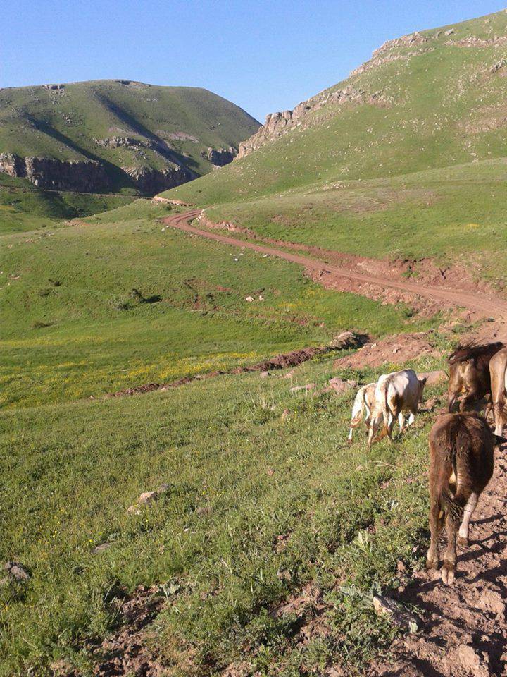 Tuzluca Akdiz Köyü Resimleri 3