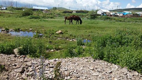 Ardahan Çimenkaya Köyü Resimleri 1