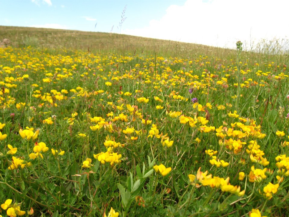 Ardahan Çimenkaya Köyü Resimleri 3