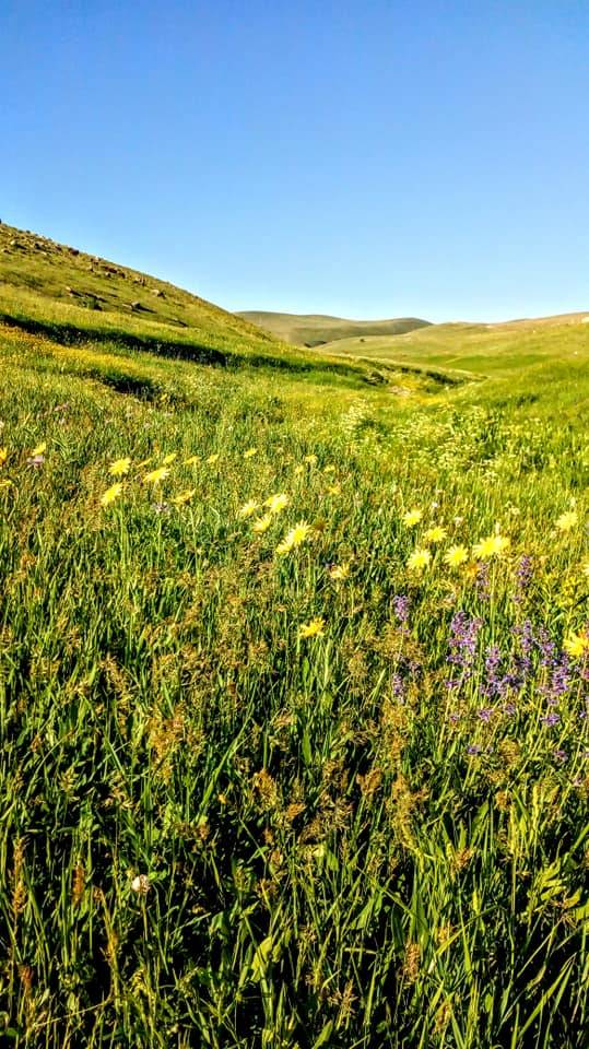 Tuzluca Aliköse Köyü Resimleri 2