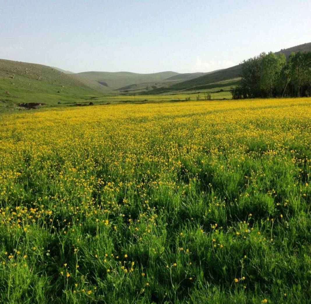 Tuzluca Aliköse Köyü Resimleri 8