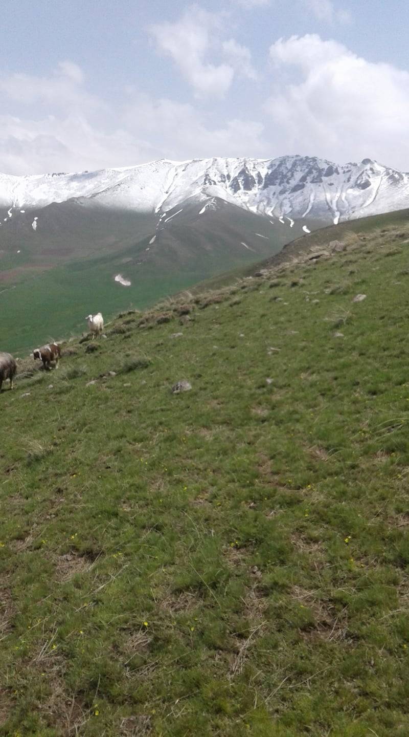 Tuzluca Arslanlı Köyü Resimleri 3