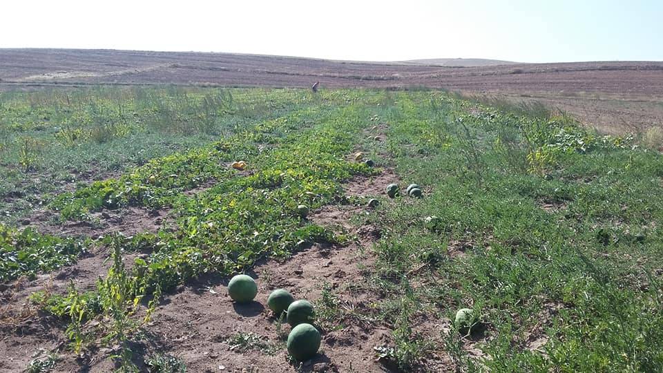 Sorgun Ocaklı Köyü Resimleri 7