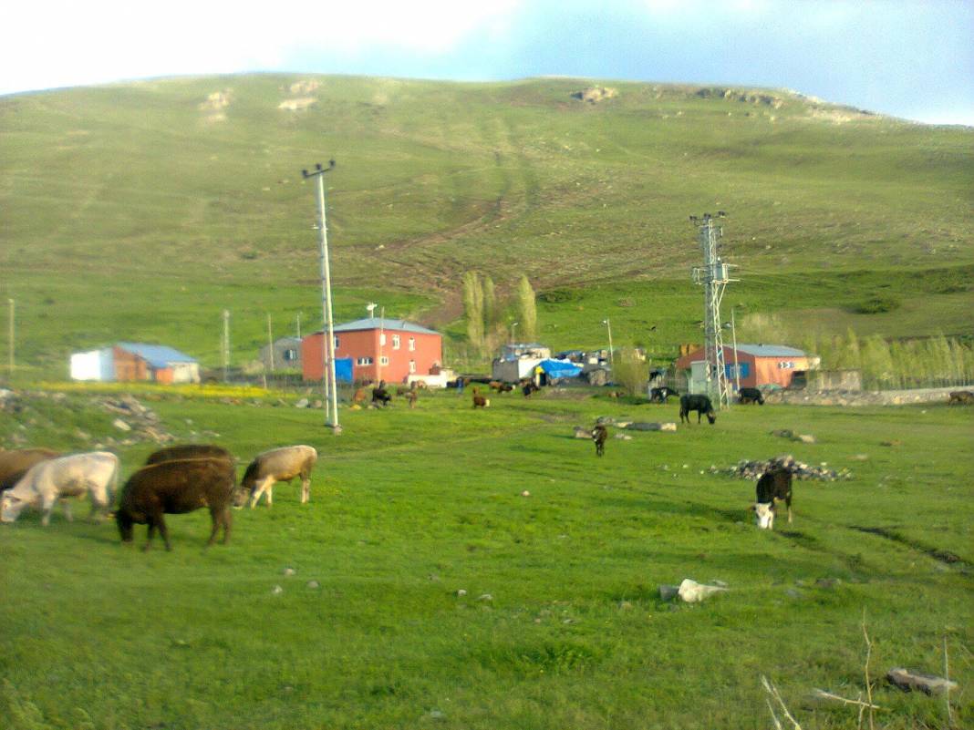 Tuzluca Badıllı Köyü Resimleri 7