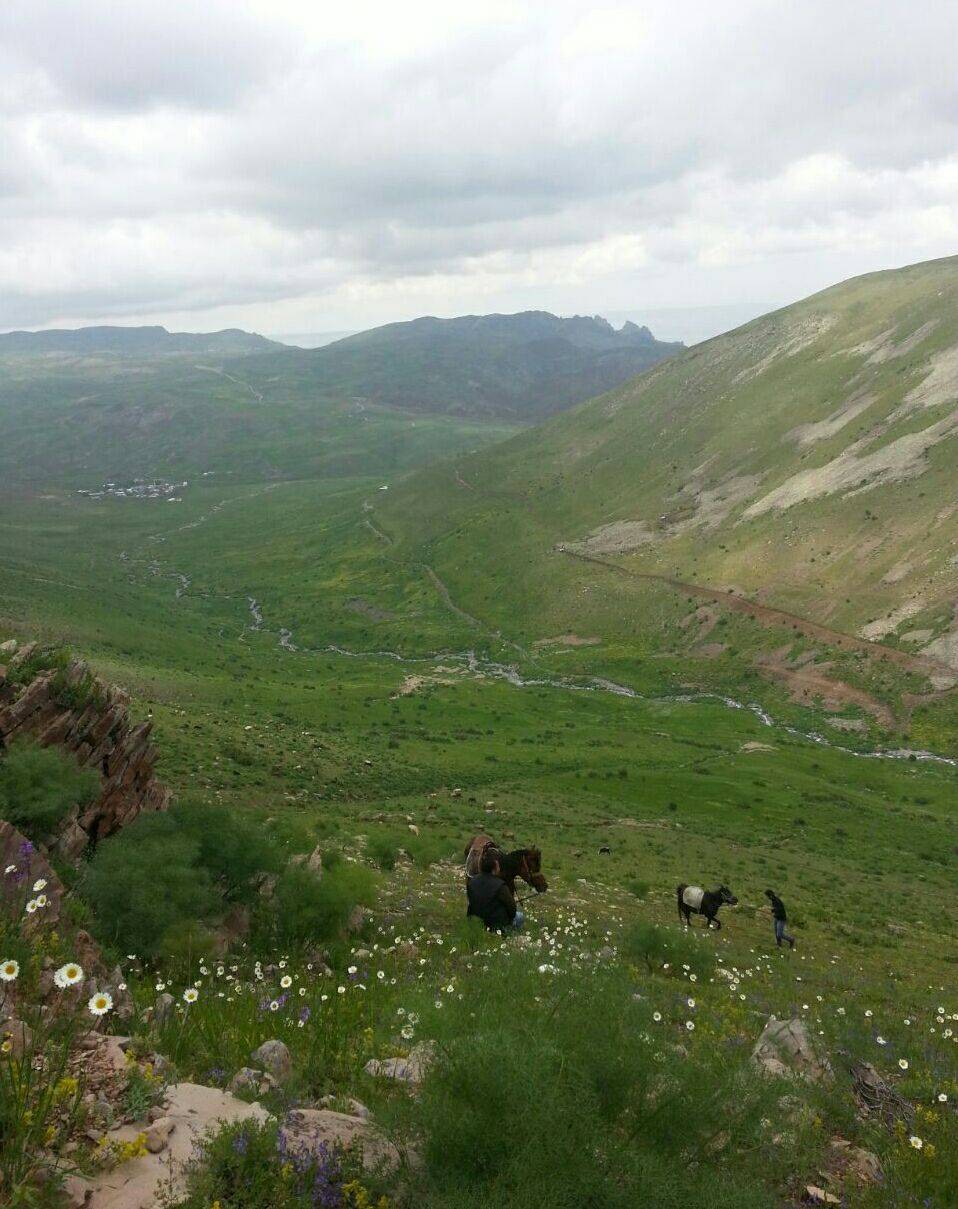 Tuzluca Badıllı Köyü Resimleri 9