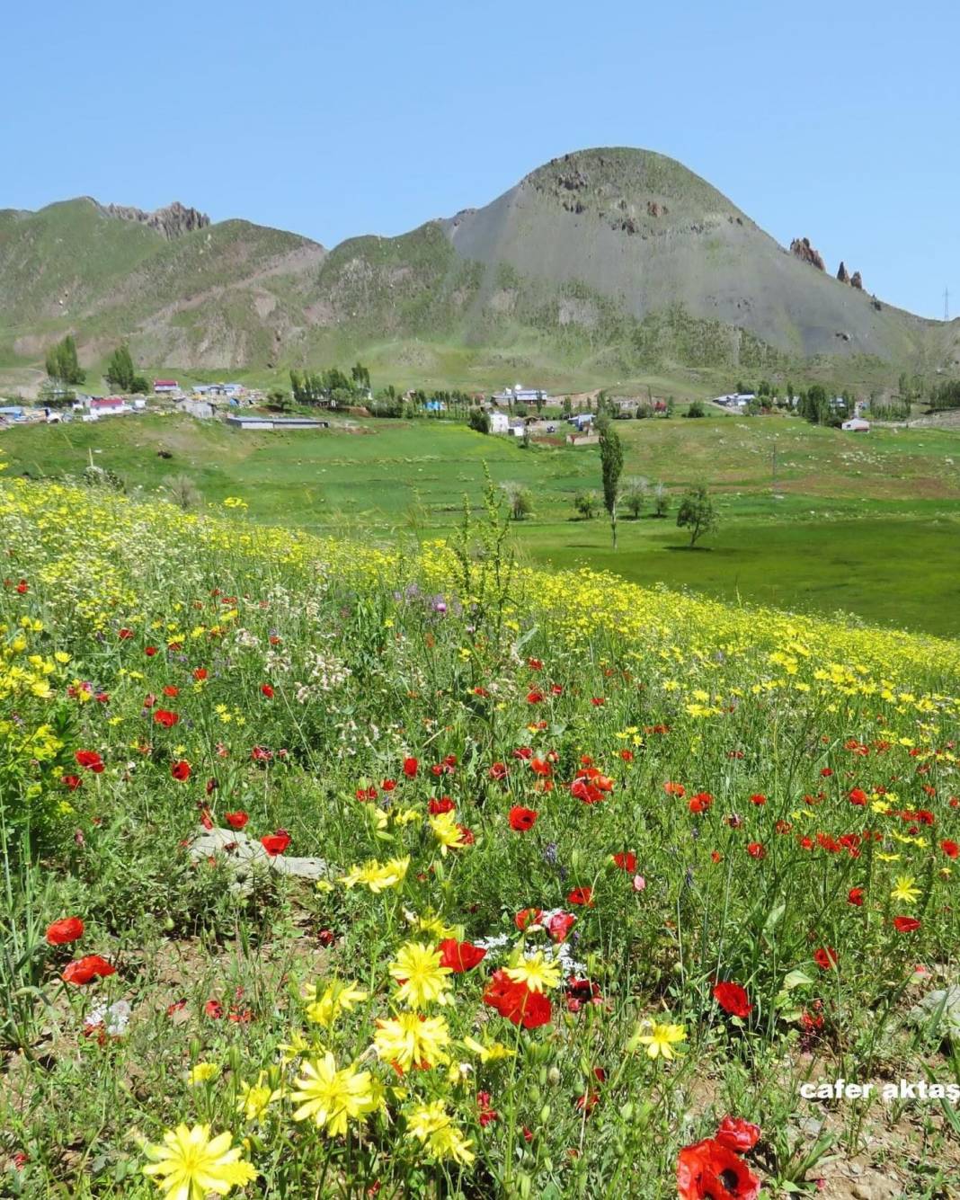 Tuzluca Bahçecik Köyü Resimleri 4