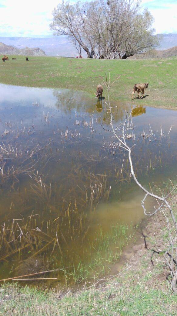 Tuzluca Bahçelimeydan Köyü Resimleri 1