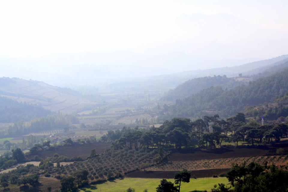 Akhisar Akkocalı Köyü Resimleri 1