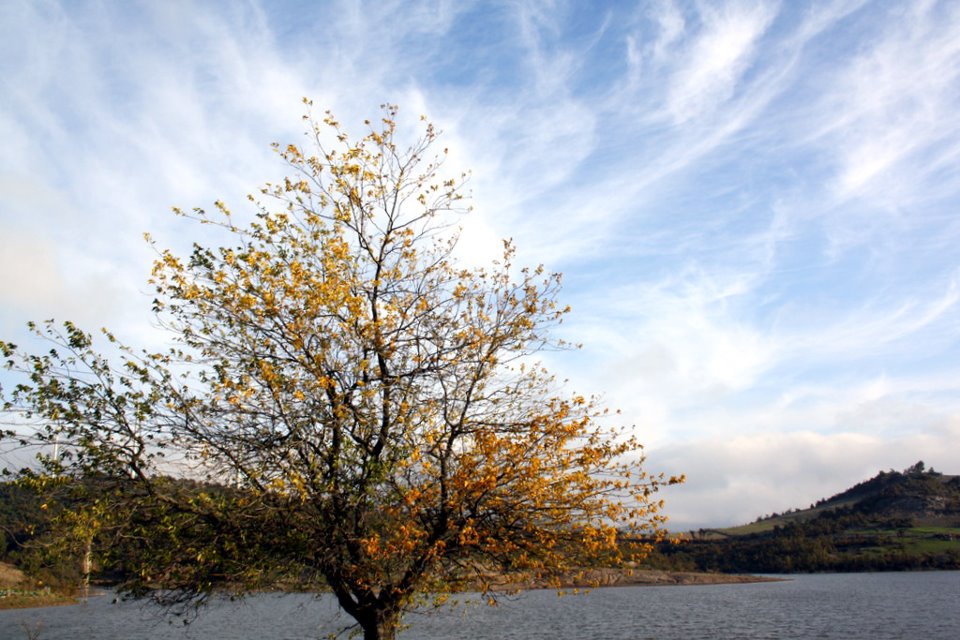 Akhisar Akkocalı Köyü Resimleri 10