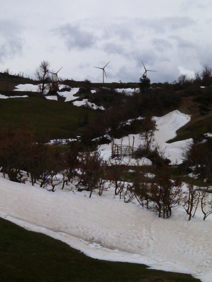 Akhisar Akkocalı Köyü Resimleri 14