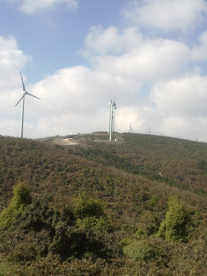 Akhisar Akkocalı Köyü Resimleri 15