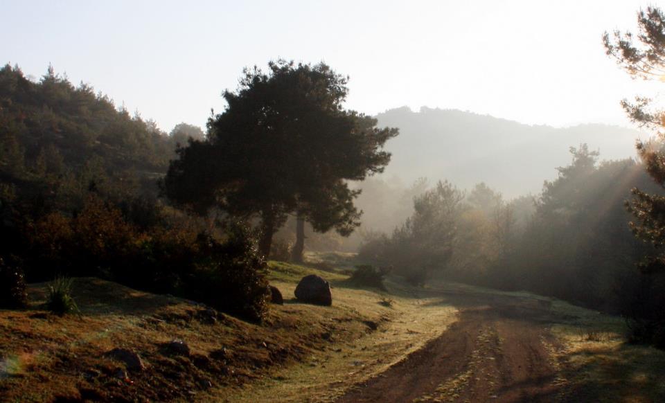 Akhisar Akkocalı Köyü Resimleri 2