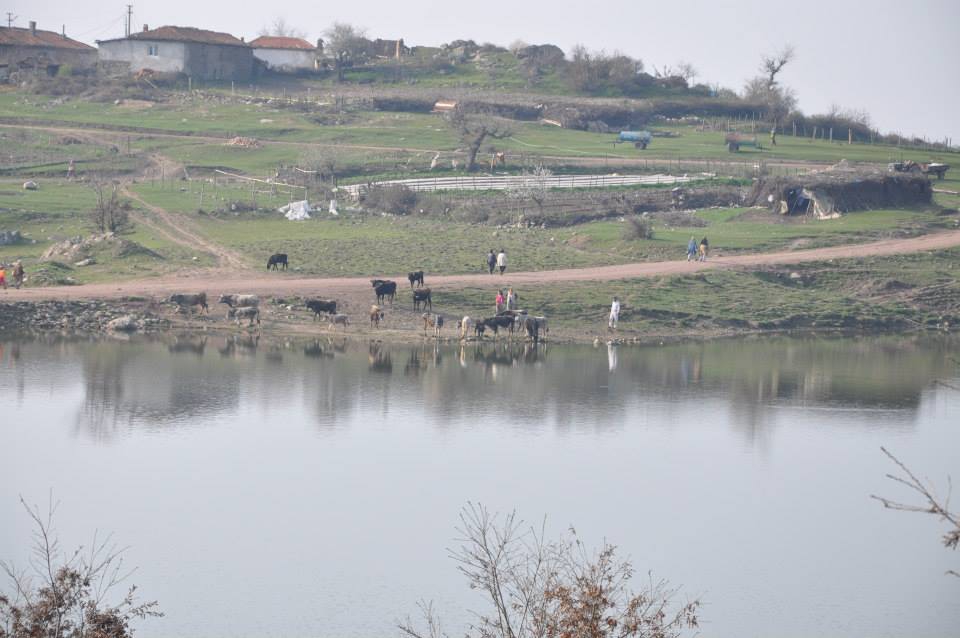 Akhisar Akkocalı Köyü Resimleri 5