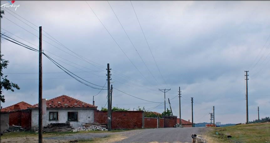Akhisar Akkocalı Köyü Resimleri 8