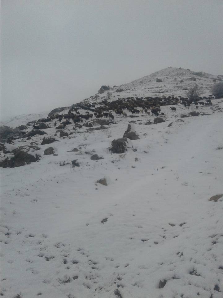 Tuzluca Beyoğlu Köyü Resimleri 2