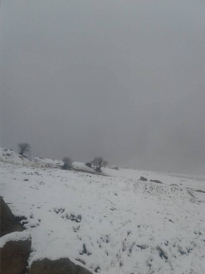 Tuzluca Beyoğlu Köyü Resimleri 3